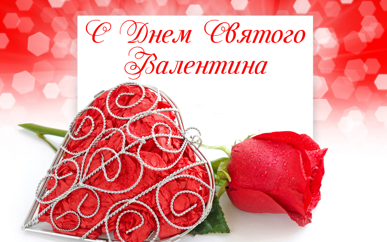 Красная роза и большое красное сердце на День Святого Валентина
