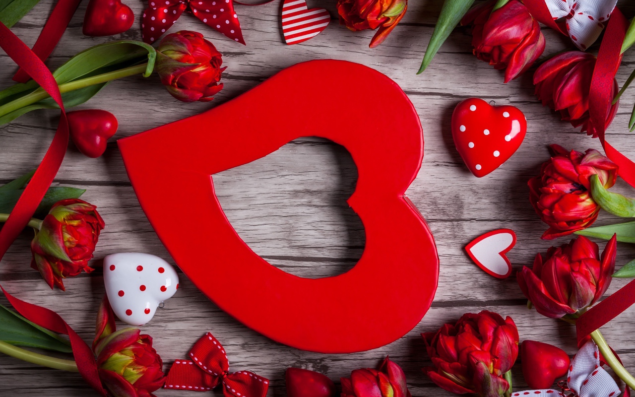 Большое красное сердце с красными тюльпанами