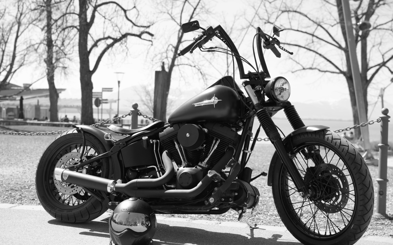 Мотоцикл  Harley-Davidson черно белое фото