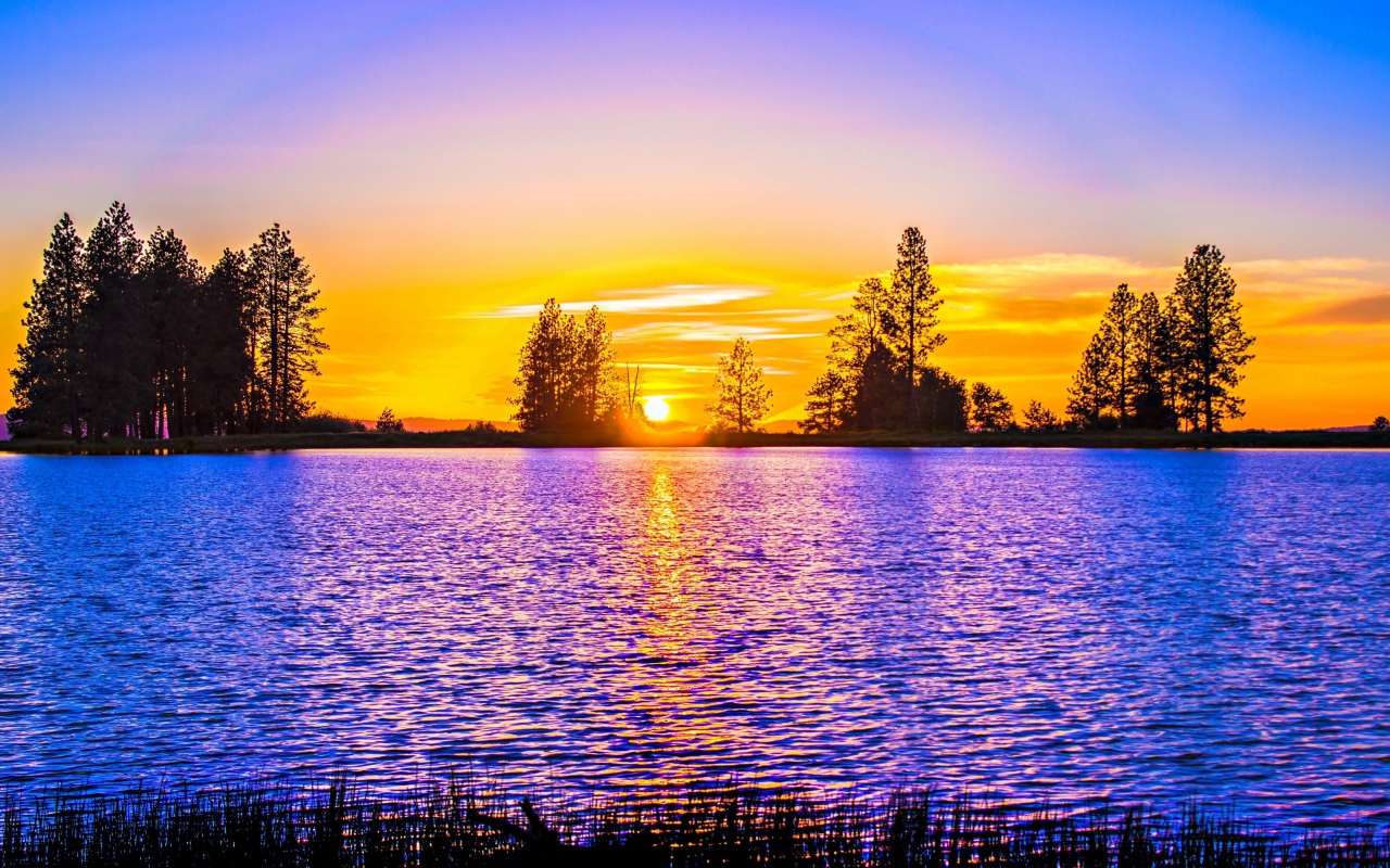 Рассвет яркого солнца над рекой