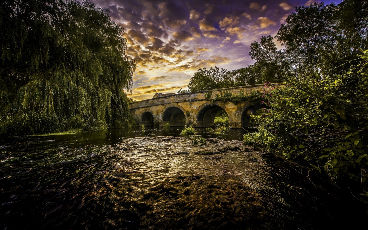 Зеленые ивы на берегу реки у старого моста под красивым небом