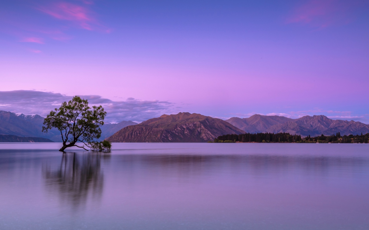 Lonely tree in the water against the backdrop of the mountains at sunset