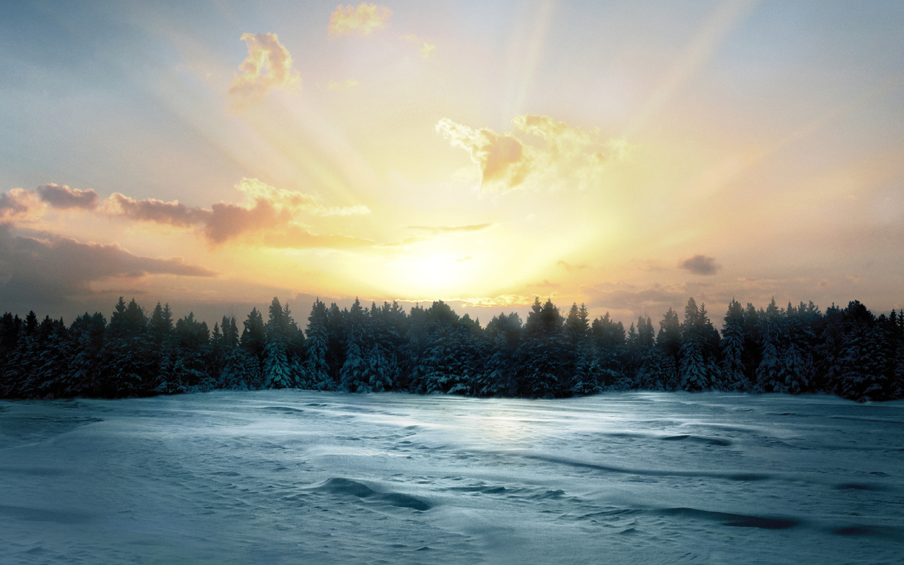 Восход солнца над заснеженным лесом