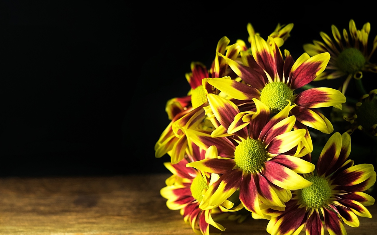 Букет газании на деревянном столе