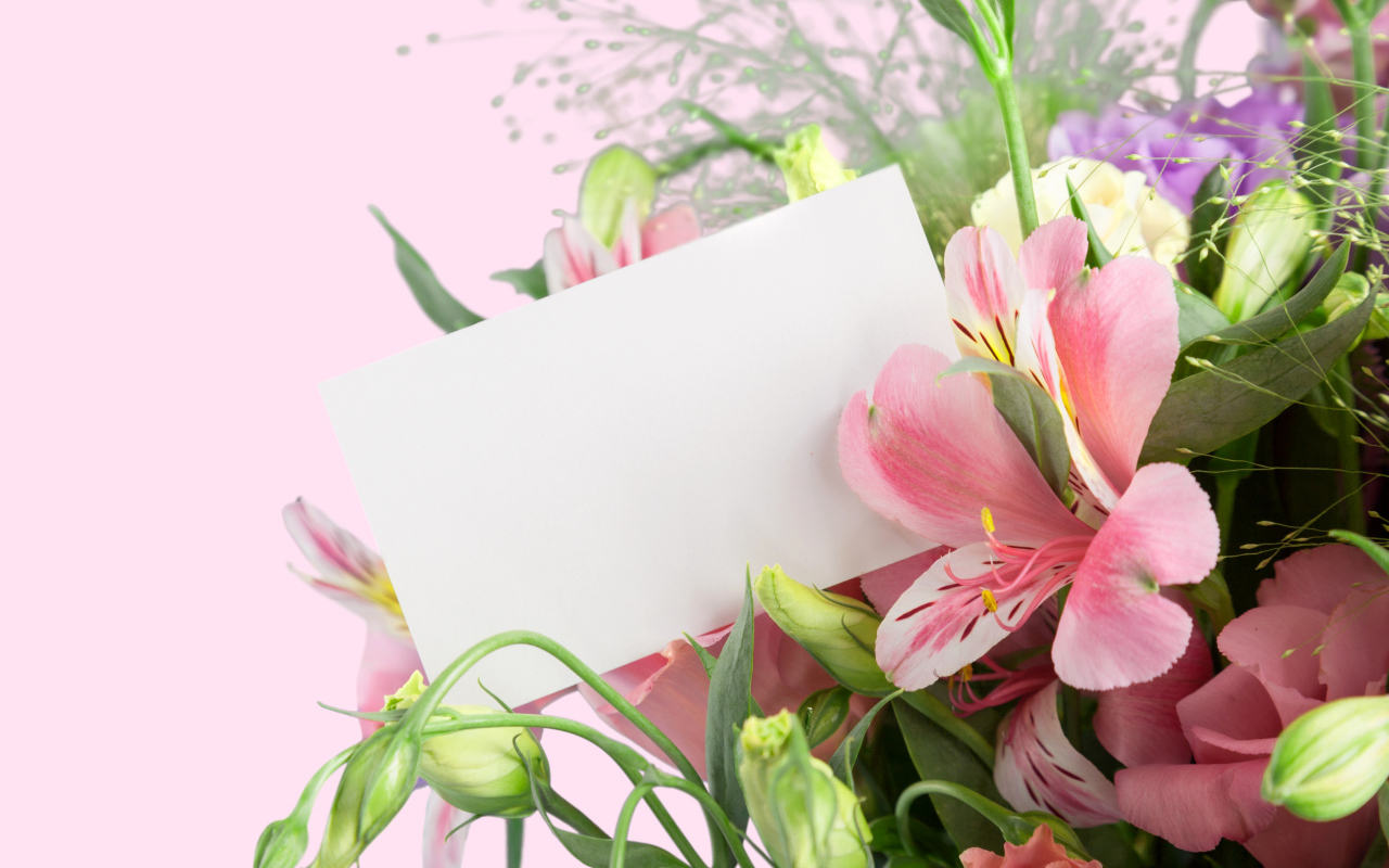 Альстрёмерия с белым листом бумаги, шаблон для открытки