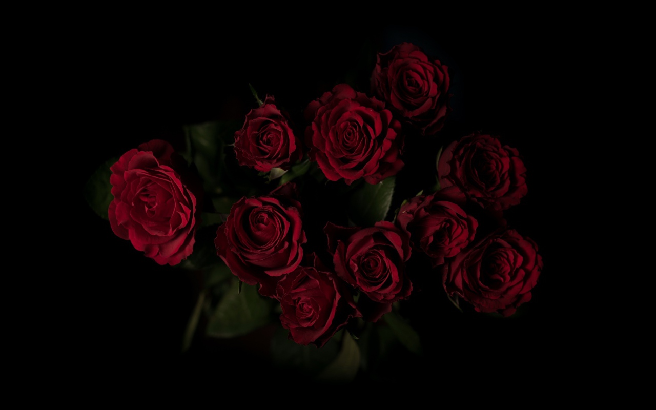 Букет красивых бордовых роз на черном фоне