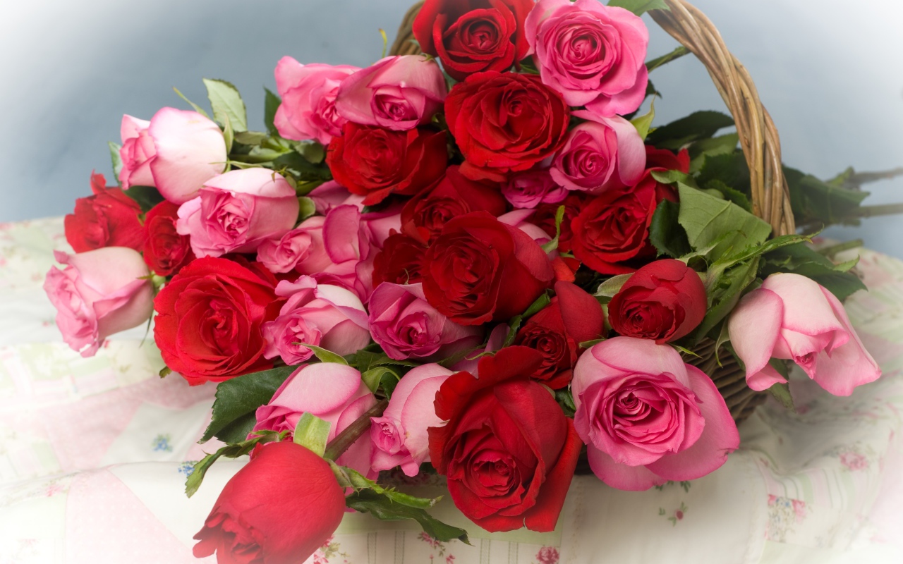 Красные и розовые розы в корзине