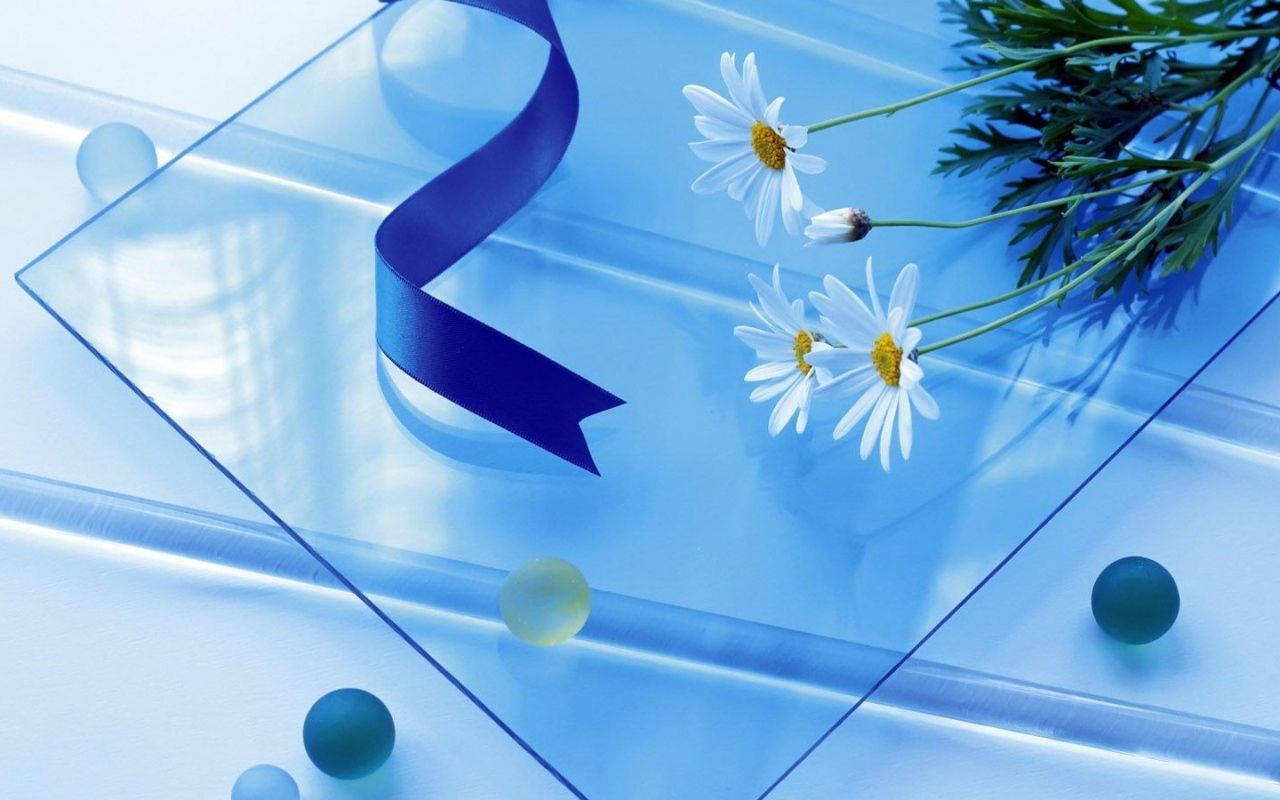 Белые ромашки на стеклянном столе с атласной лентой 