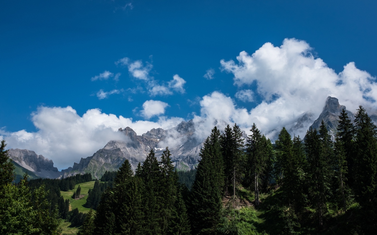 Горы у зеленого леса под белыми облаками в голубом небе