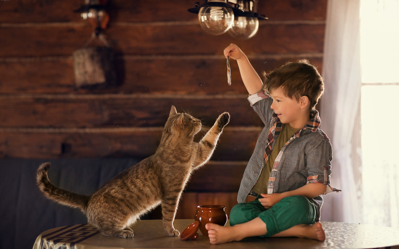 Маленький мальчик дразнит рыбой серого кота