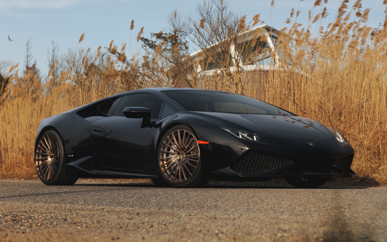 Черный автомобиль Lamborghini Huracan на фоне камыша