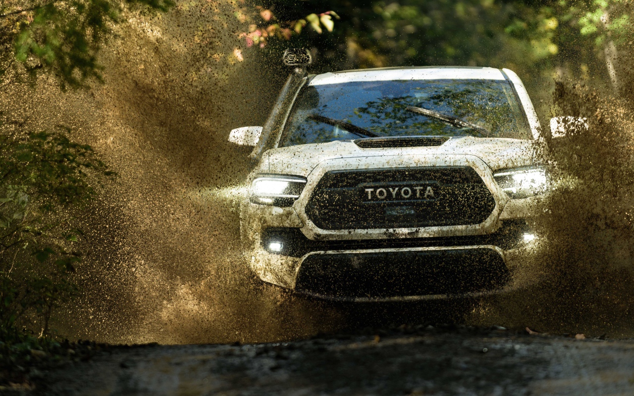 Внедорожник Toyota Tacoma, 2020 года едет по грязной воде