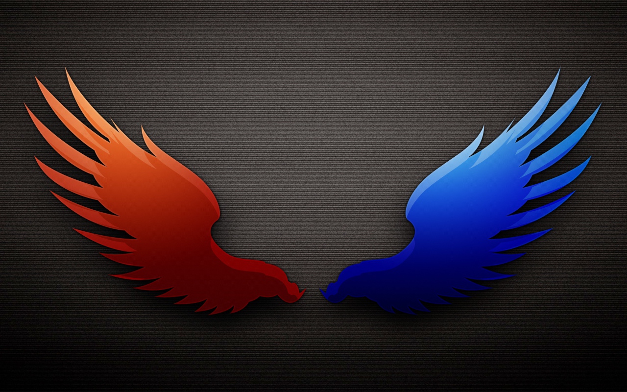 Разноцветные крылья на сером фоне