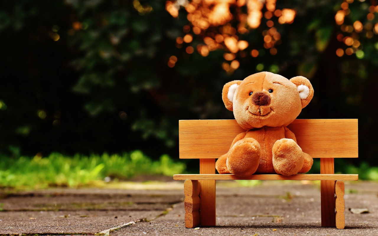 Медвежонок Тедди сидит на деревянной лавке