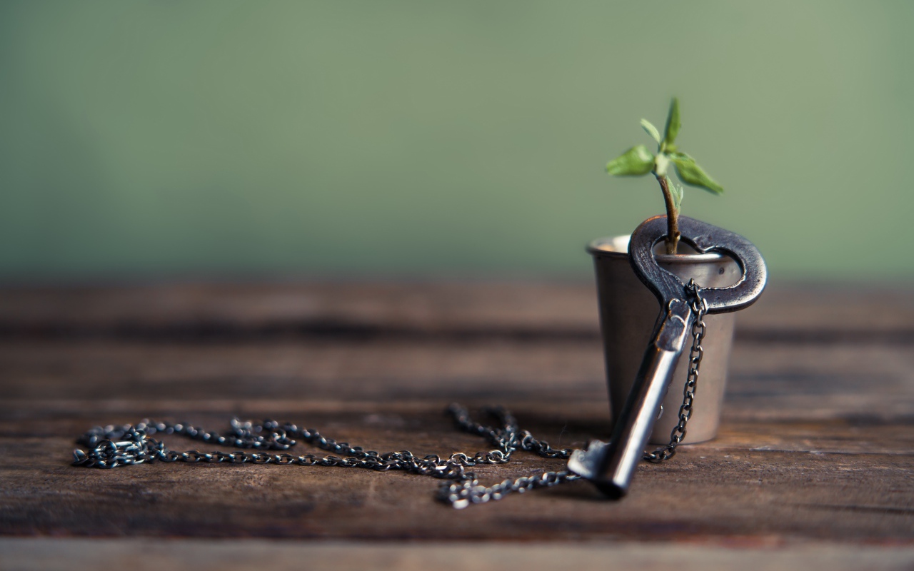 Ключ на цепочке одет на веточку в стакане