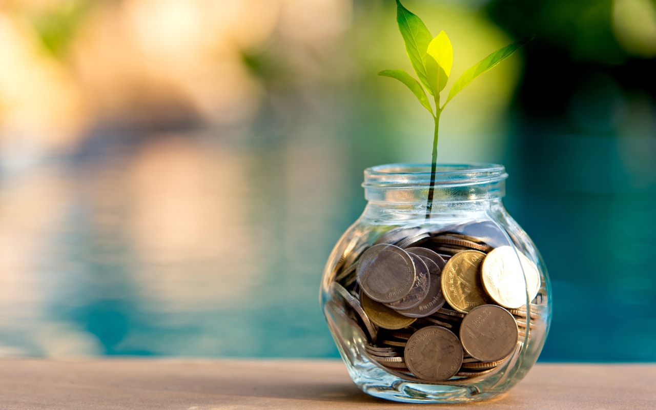 Зеленый росток прорастает из копилки 