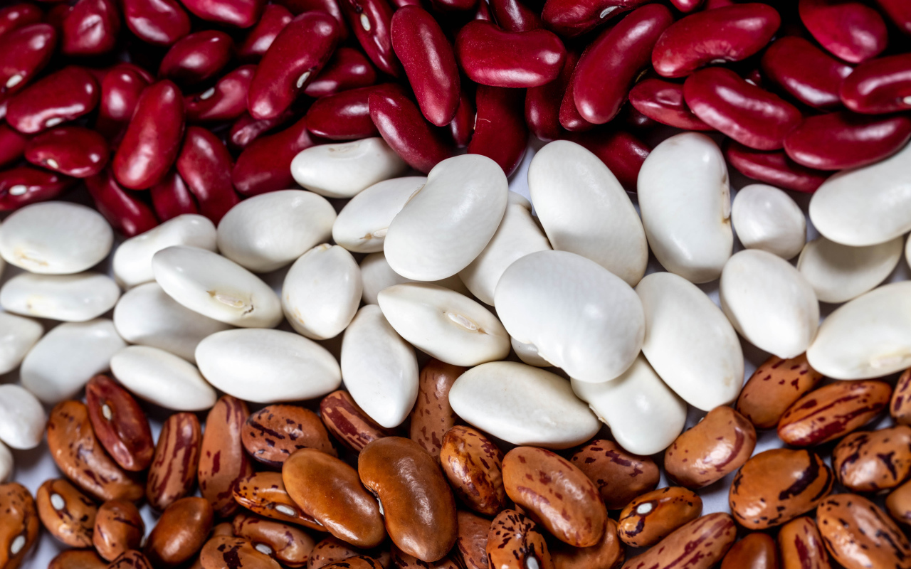 Много разноцветной фасоли крупным планом