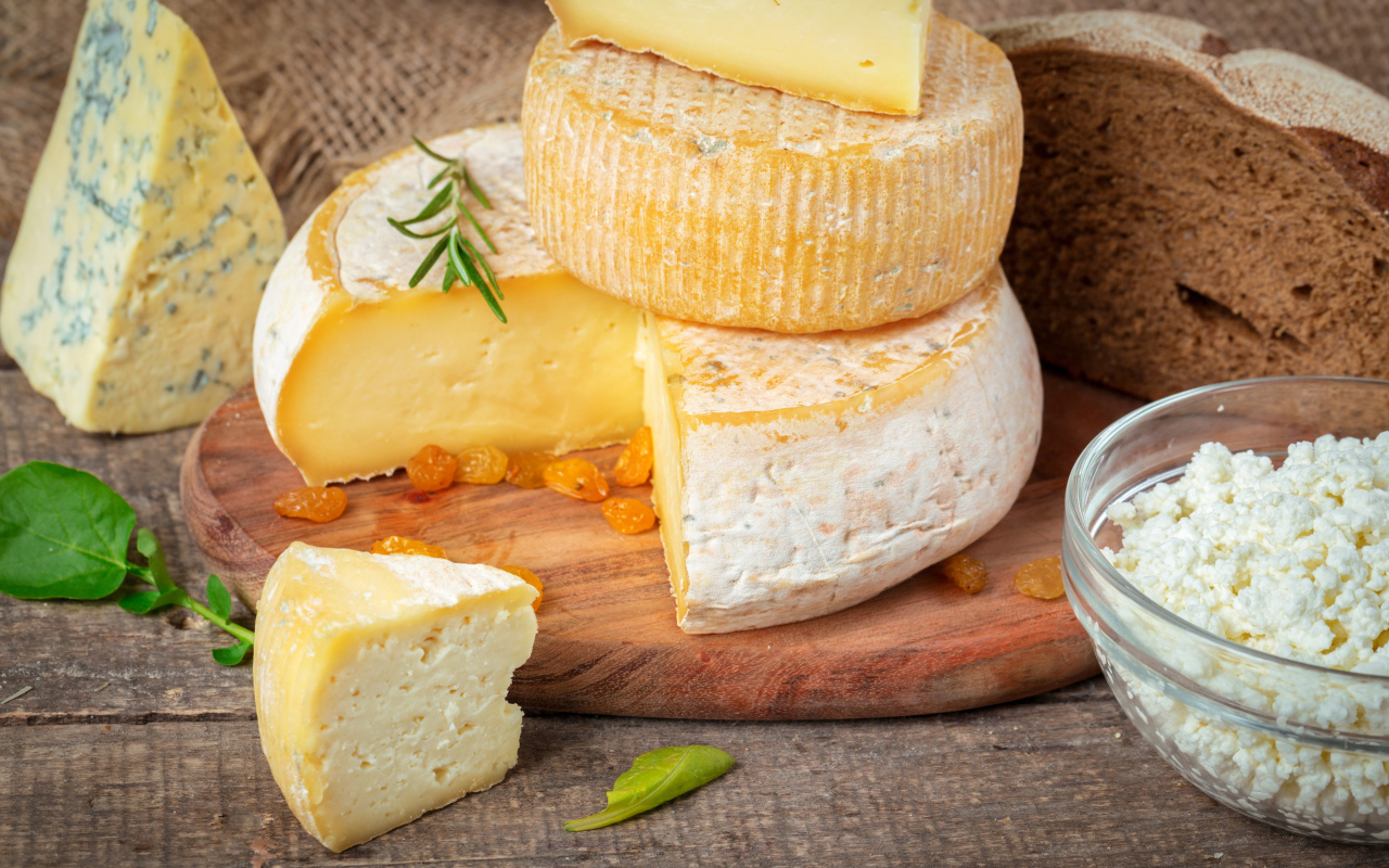 Сыр с плесенью на столе с хлебом и творогом