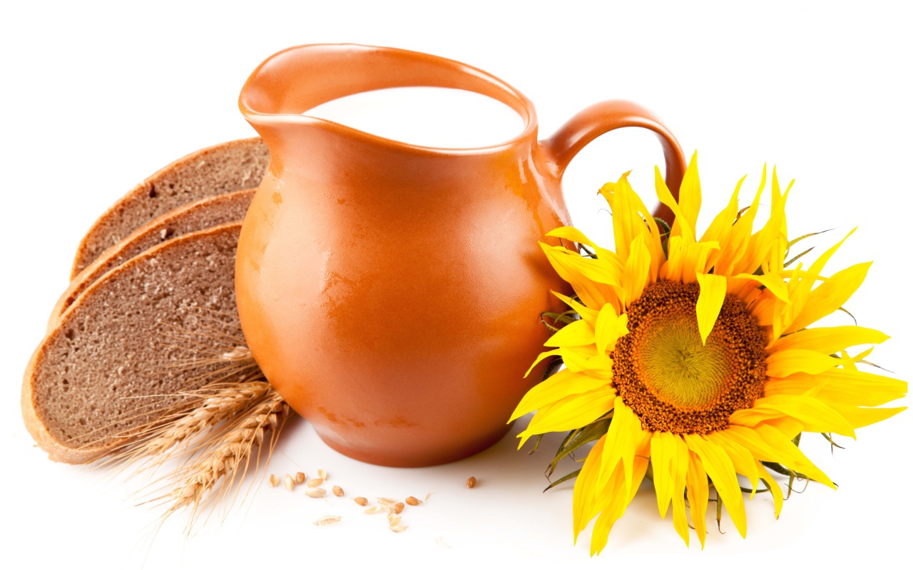 Кувшин с молоком на белом фоне с хлебом и подсолнухом