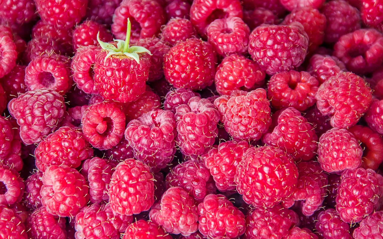 Вкусная спелая малина крупным планом