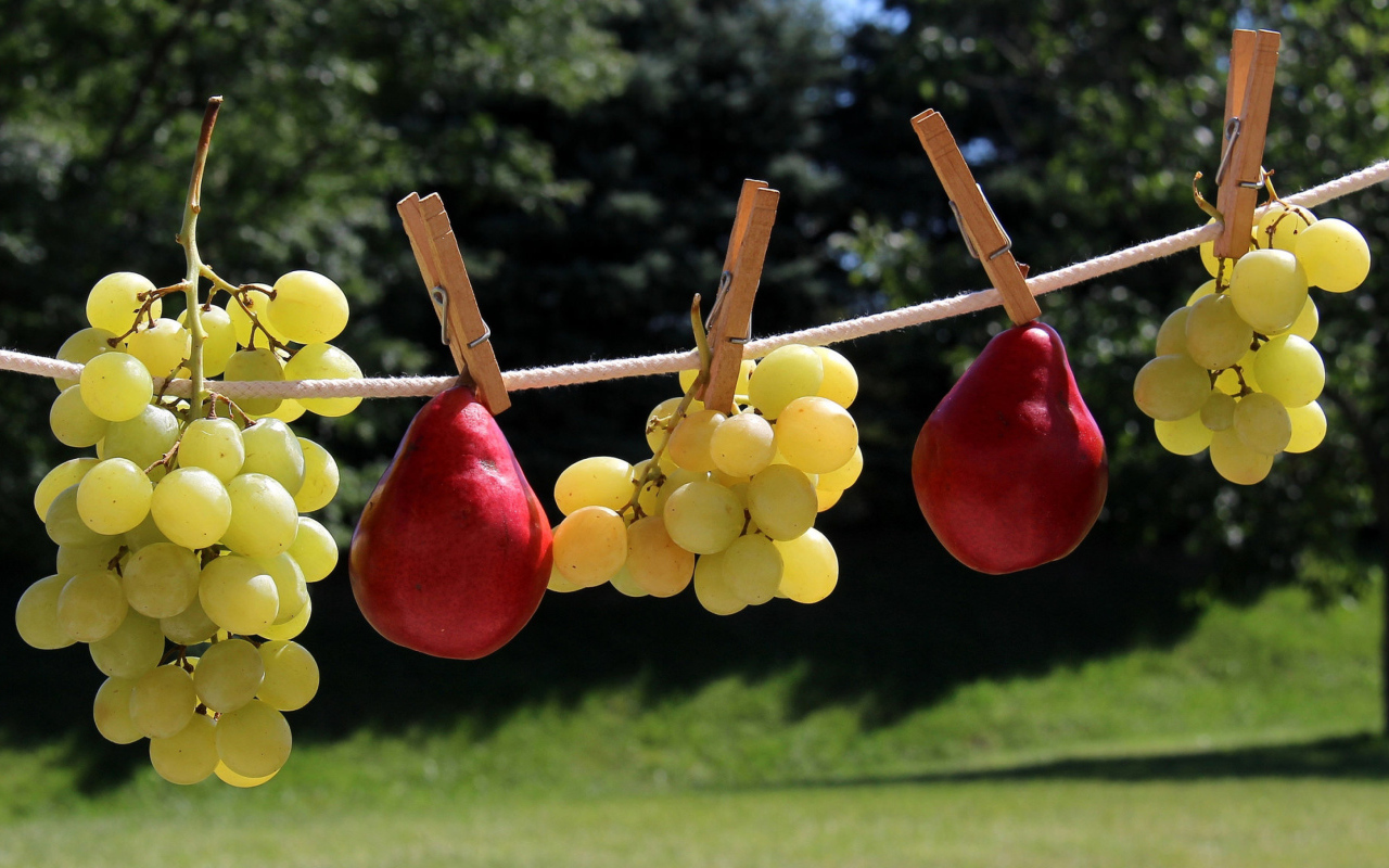 Белый виноград и красные груши на веревке
