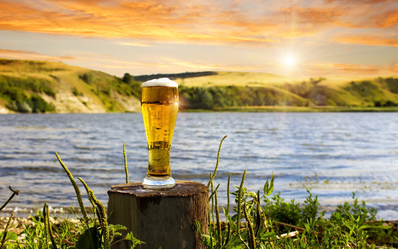 Бокал пива стоит на пне у воды 