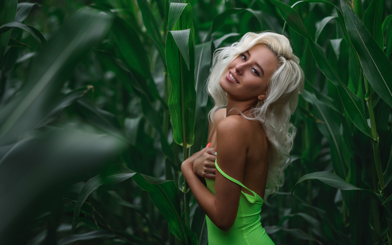 Красивая блондинка в зарослях кукурузы