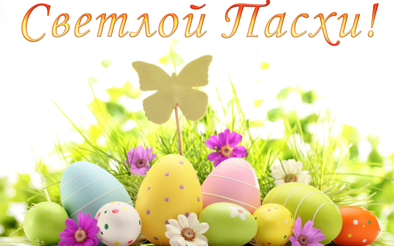 Открытка Светлой Пасхи с крашеными яйцами