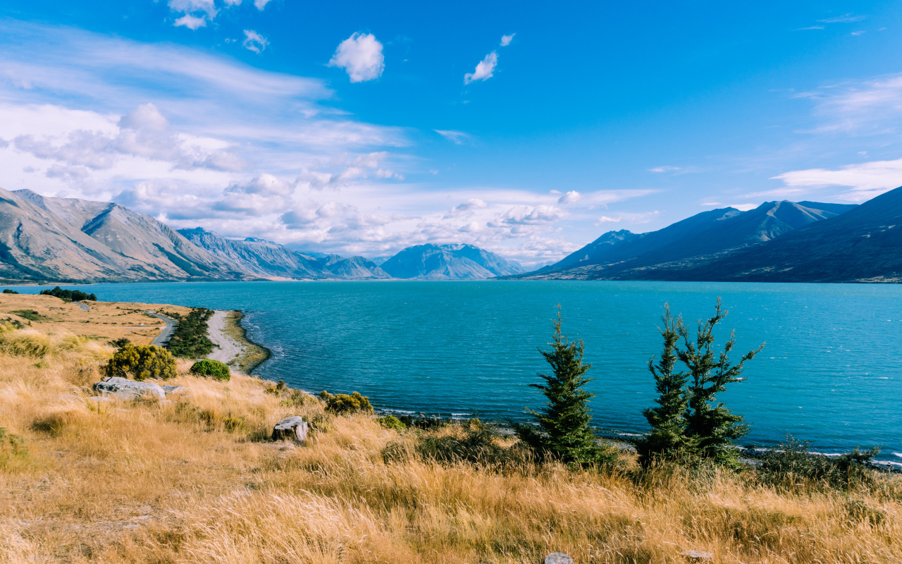Сухая трава на берегу озера под голубым небом у гор 