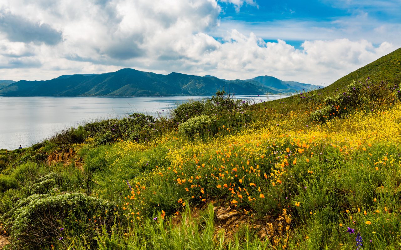 Зеленая трава на берегу озера у гор под голубым небом с облаками 