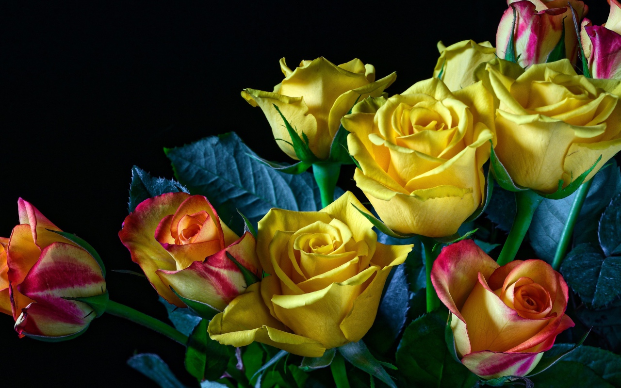 Букет желто - розовых роз на черном фоне