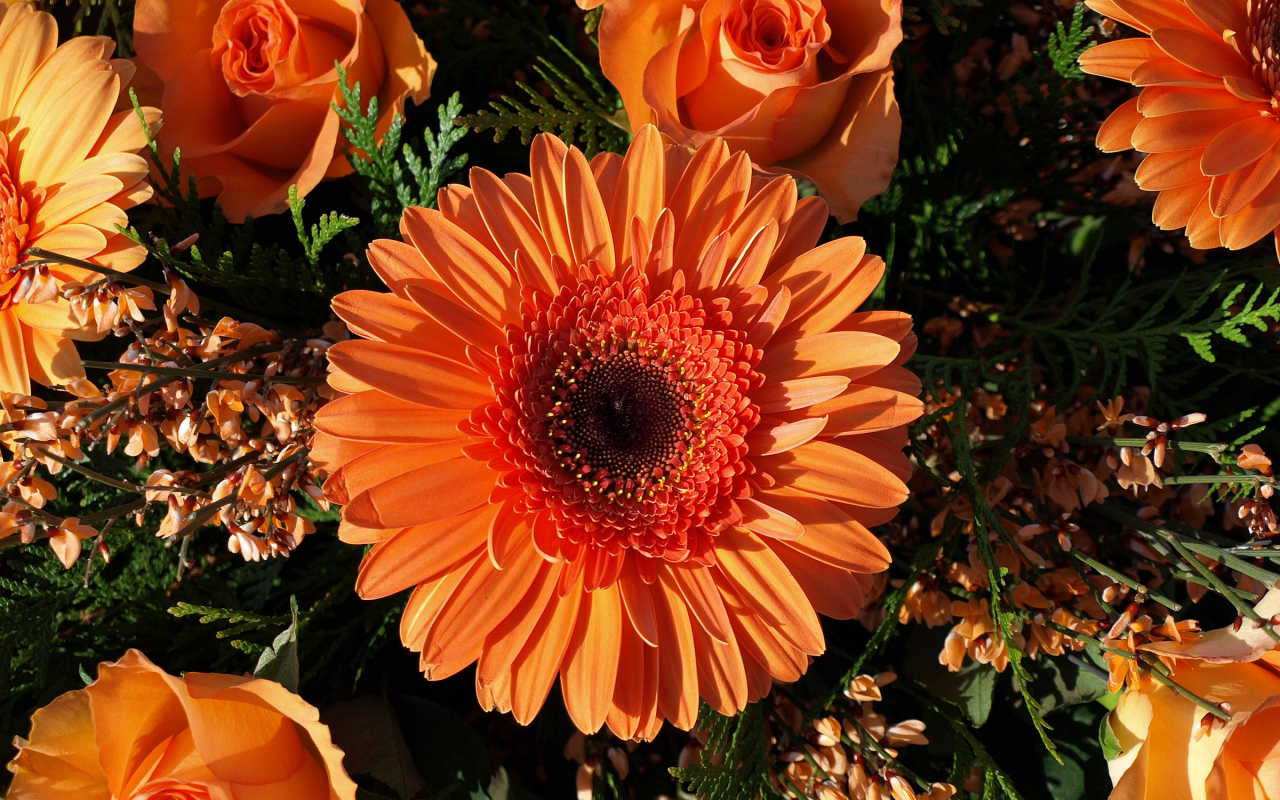 Букет оранжевых гербер с розами 