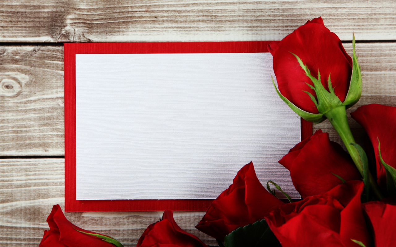 Букет роз  с листом бумаги в рамке фон для поздравительной открытки