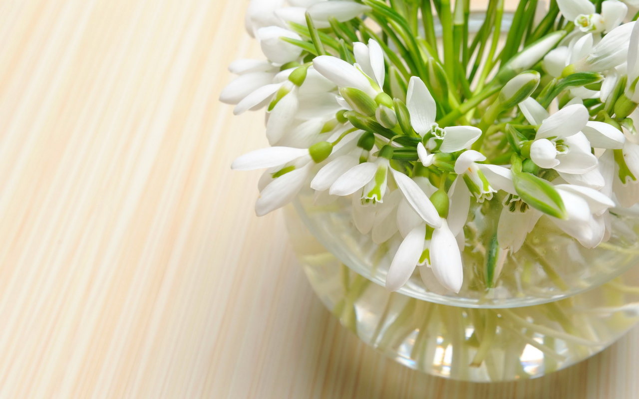 Нежные весенние первоцветы подснежники в стеклянной вазе