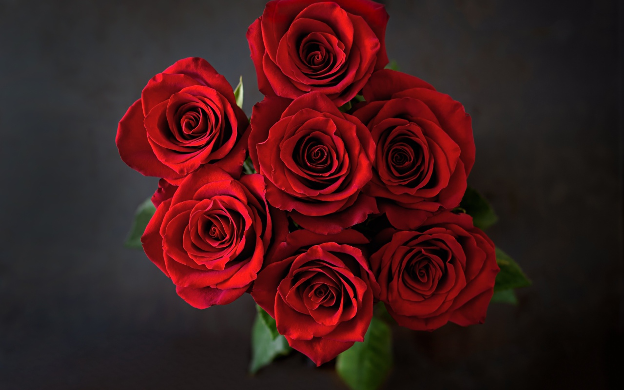 Букет красных роз вид сверху на сером фоне 