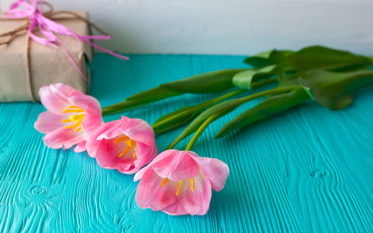 Три розовых тюльпана на голубом столе с подарком