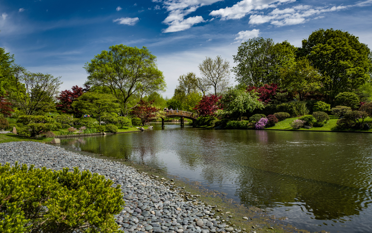 Камни на берегу реки в парке с зелеными деревьями
