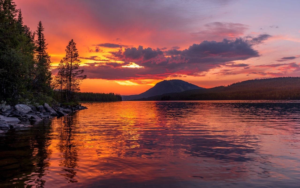 Закат в фиолетовом небе над рекой у леса