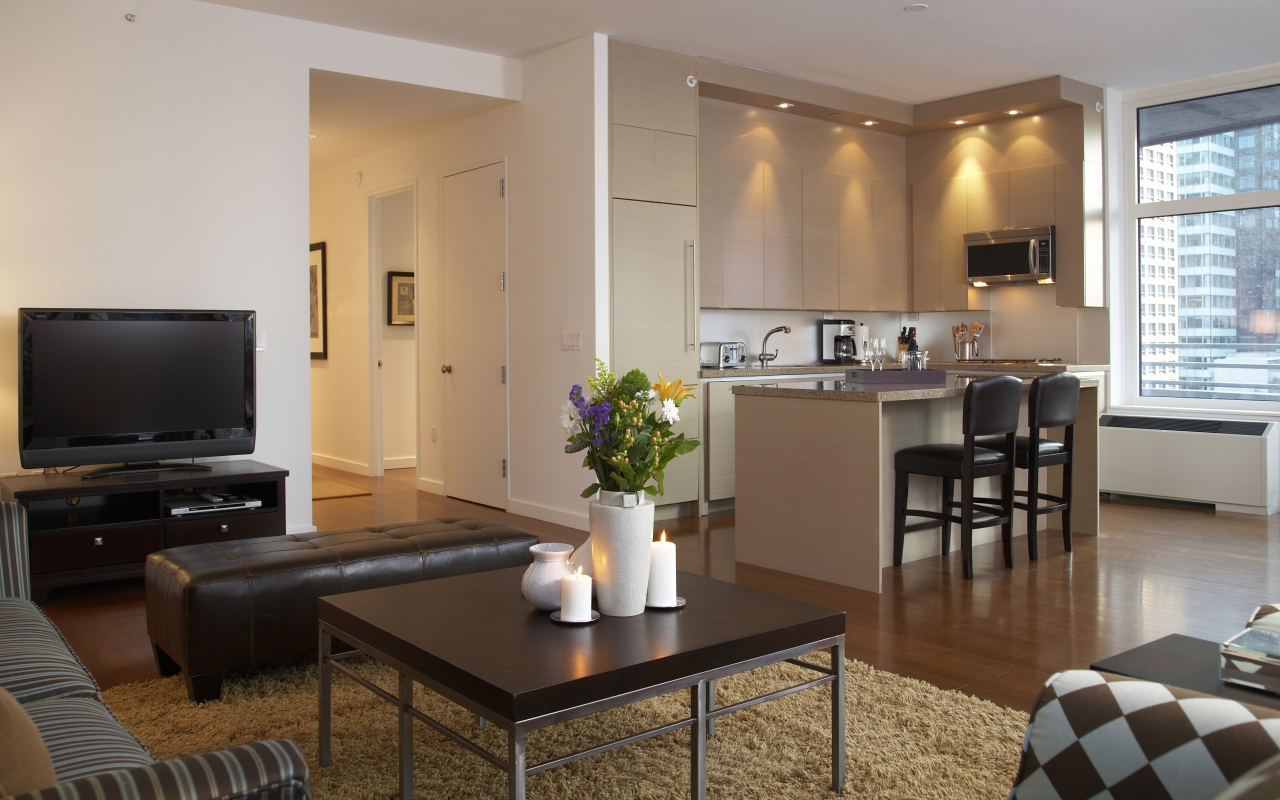 Гостиная комната с кухней 