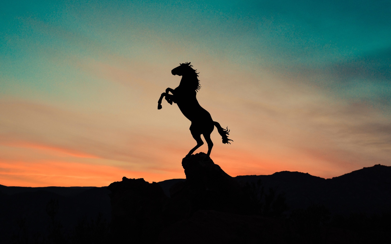 Силуэт коня на вершине горы на закате 