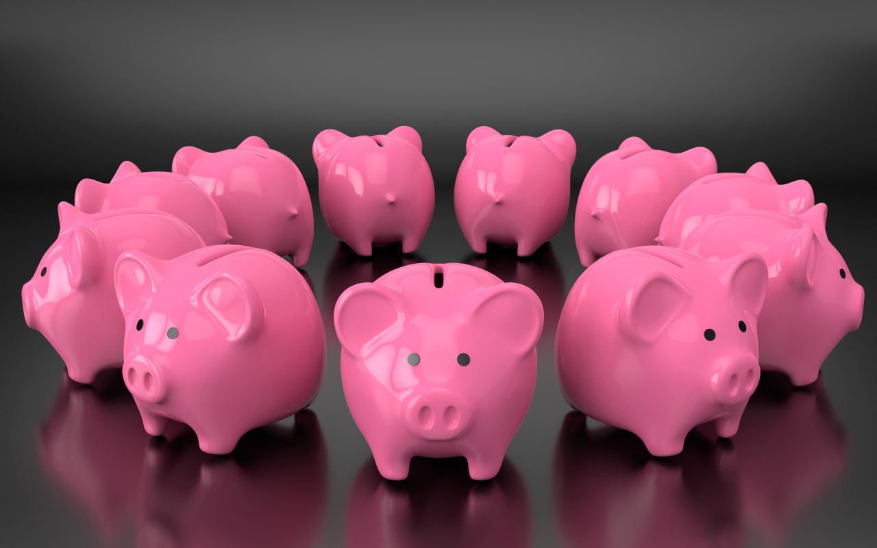 Lots of pink pigs piggy banks on gray background