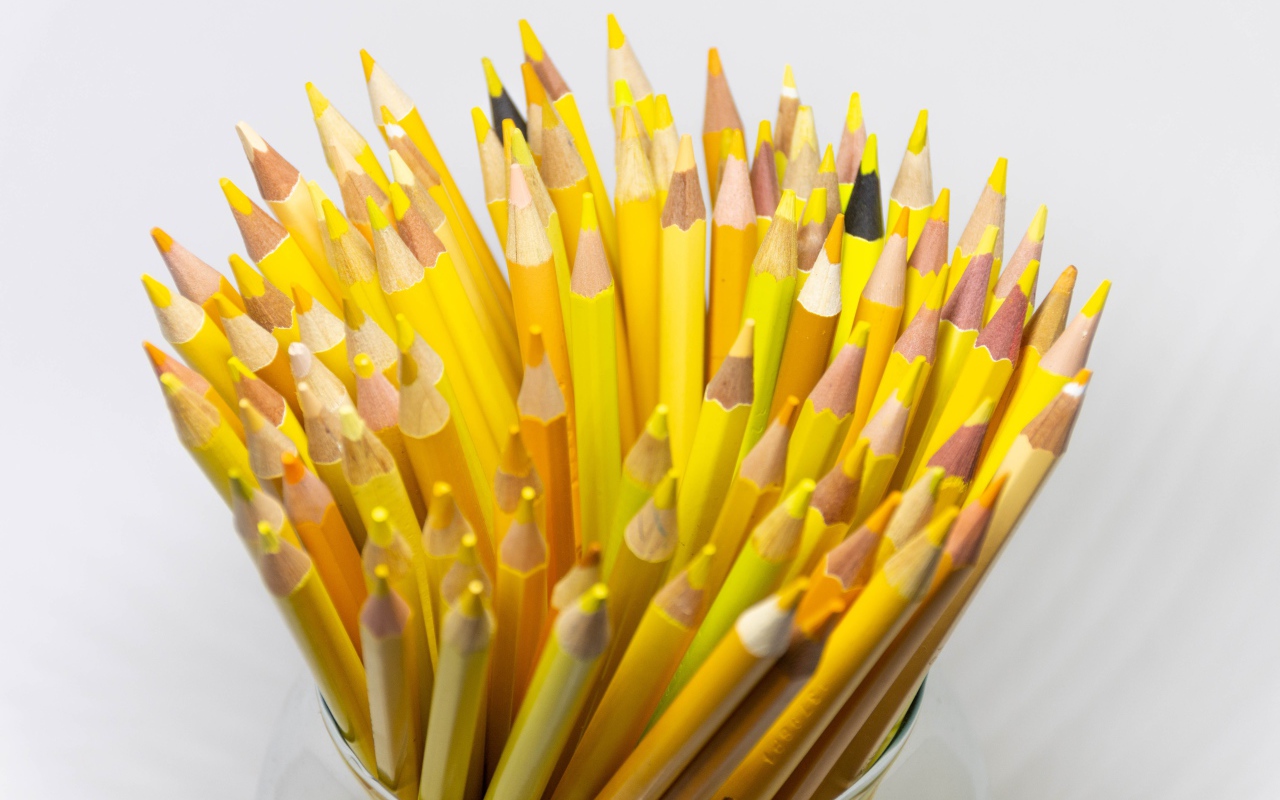 Много желтых карандашей на белом фоне крупным планом