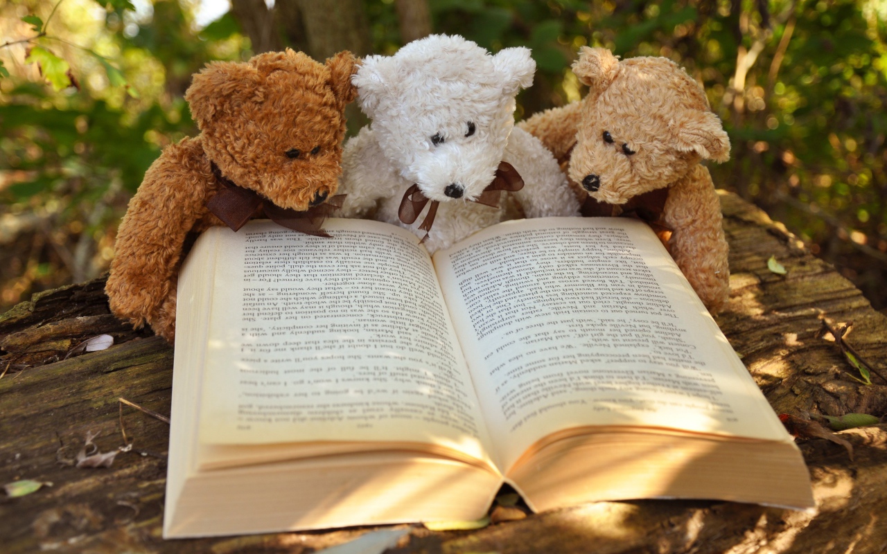 Три медвежонка Тедди читают книгу в парке