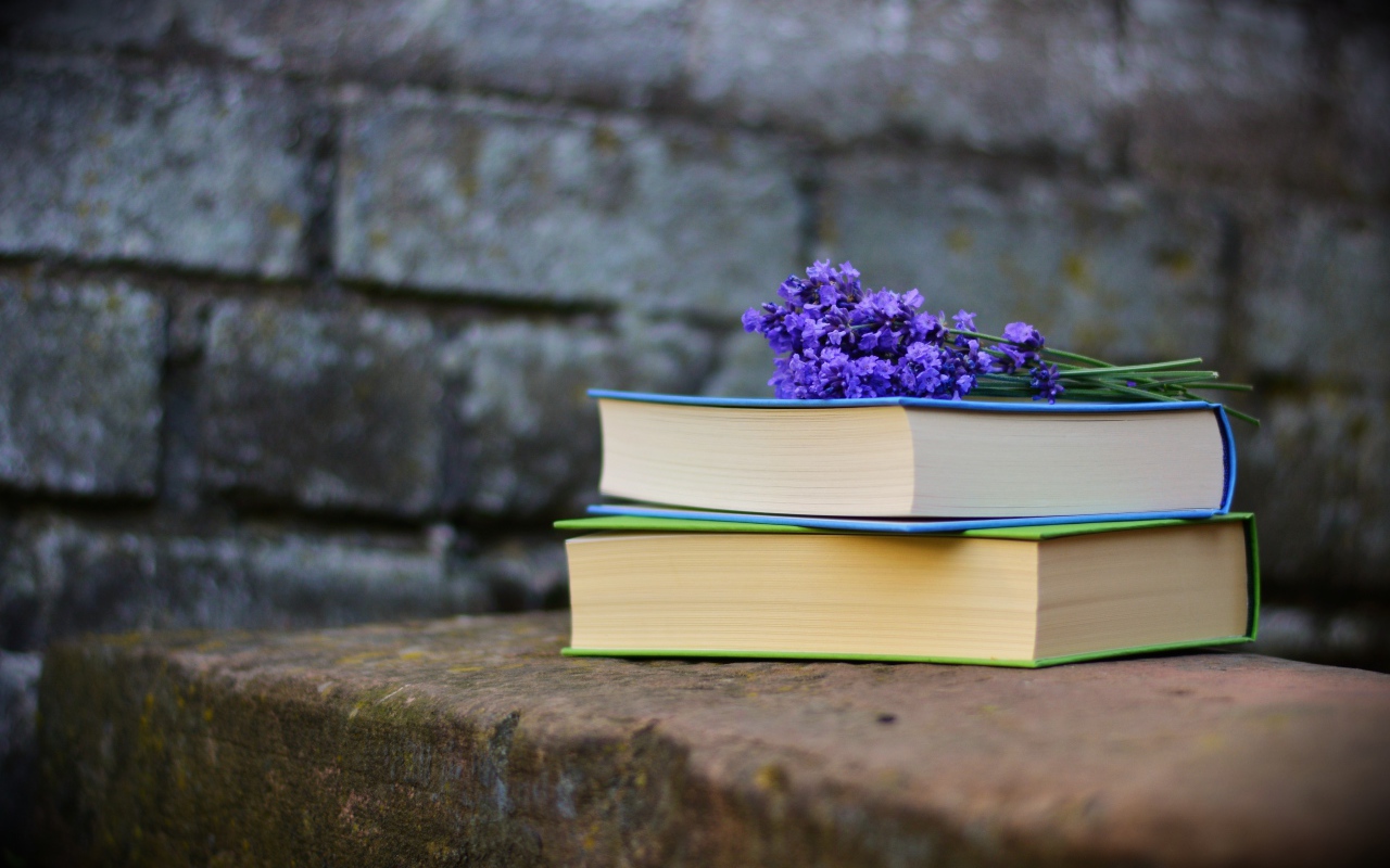 Две книги лежат на камне с цветами лаванды