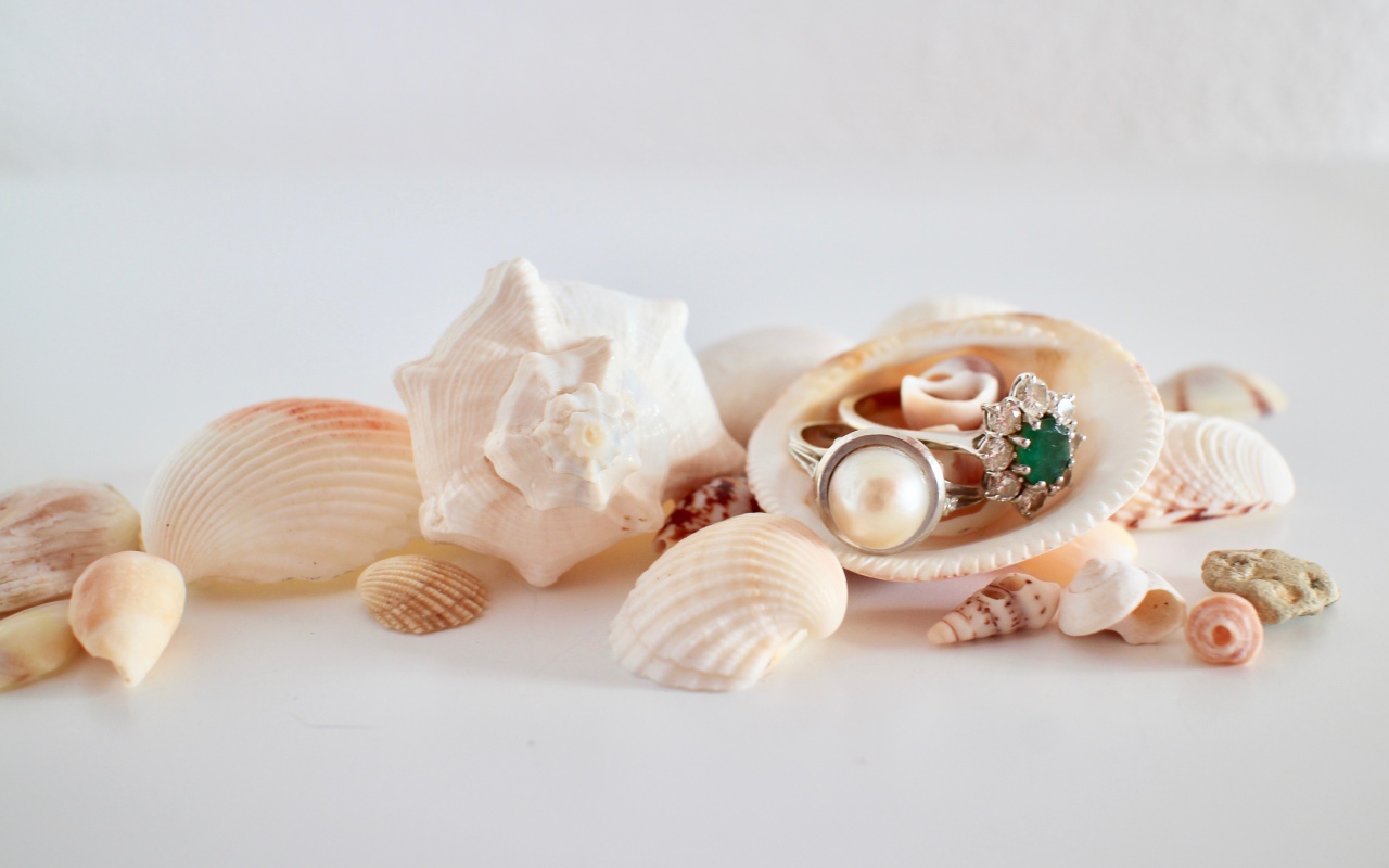 Кольца и ракушки на белом фоне