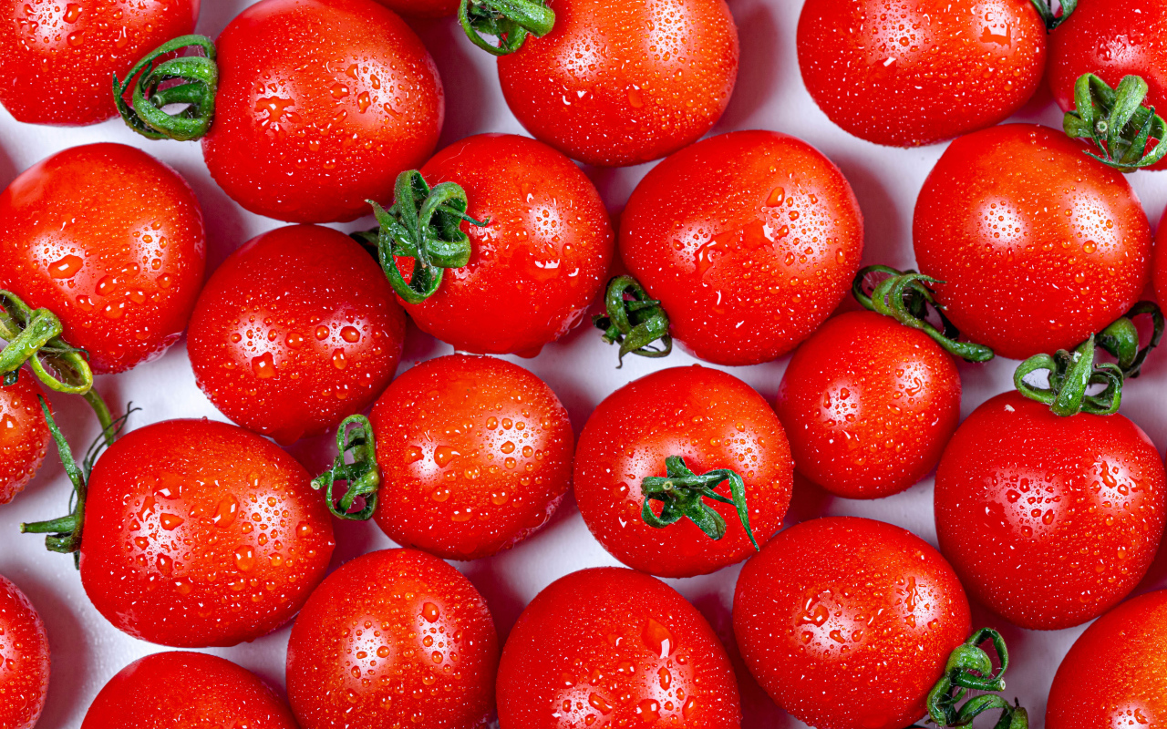 Мокрые красные помидоры крупным планом