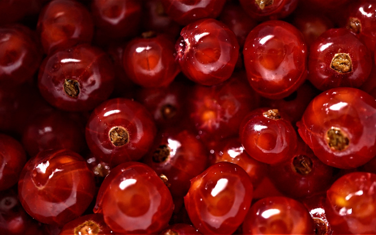 Спелые сочные ягоды красной смородины