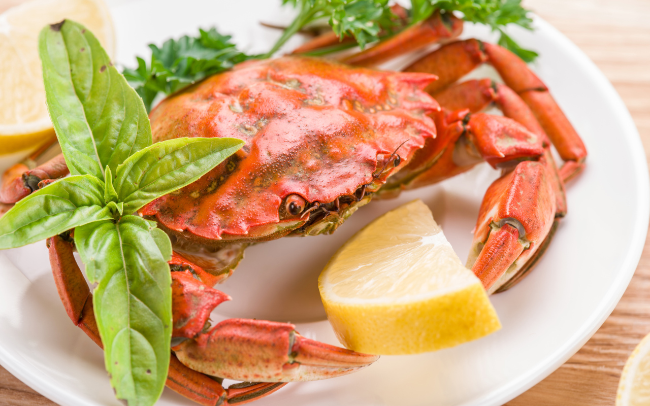 Cooked crab on a plate with lemon and herbs