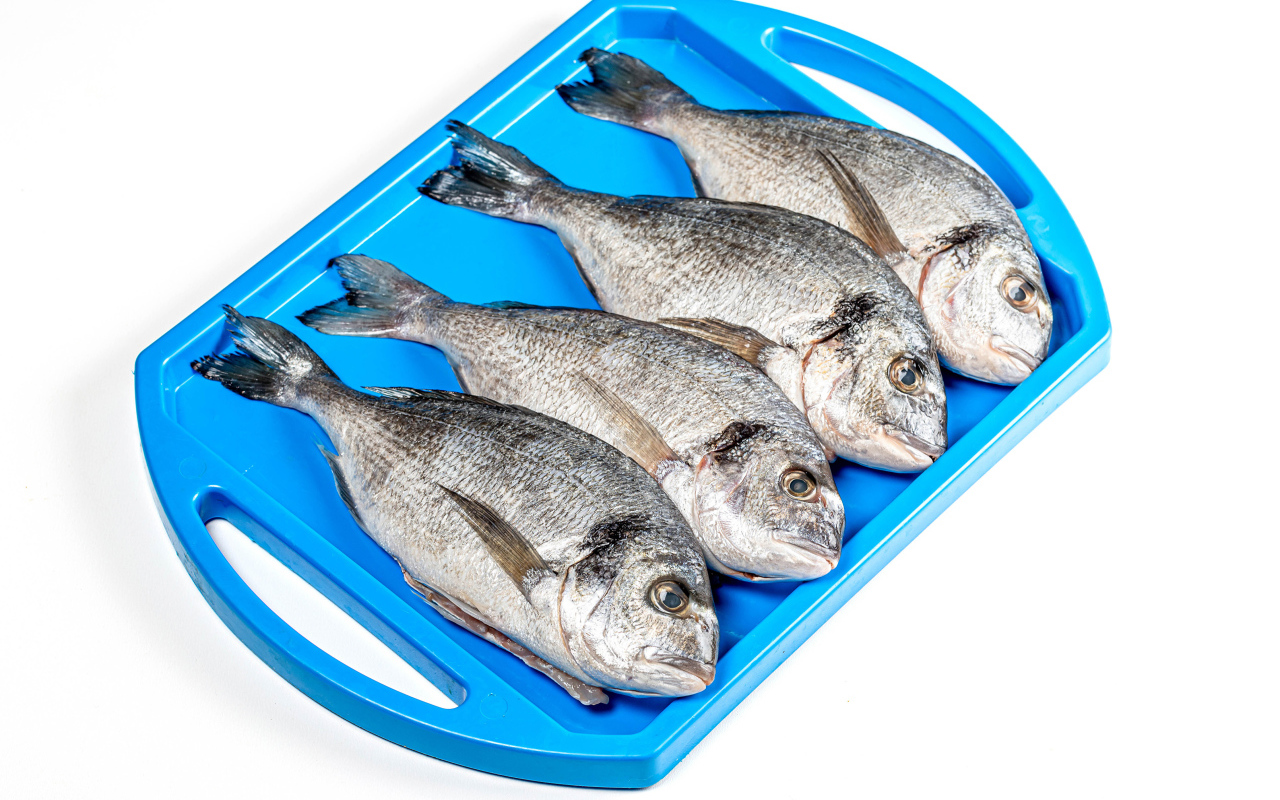 Свежая рыба на голубом подносе на белом фоне