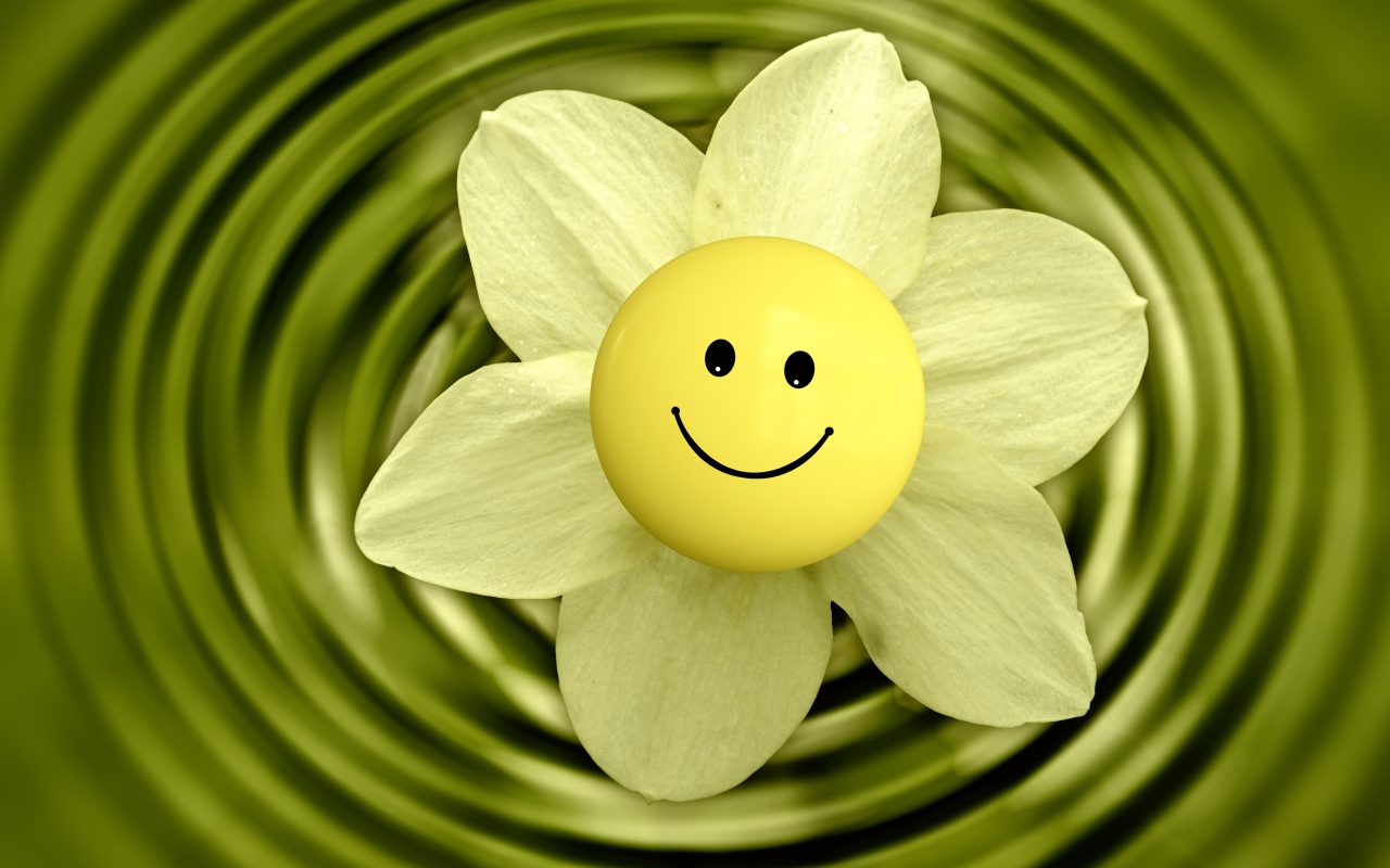 Narcissus flower with smiley face in water